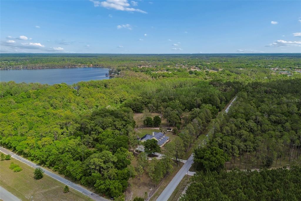 5438 Drexel Road Land O' Lakes, FL 34638 - Photo 65 of 72