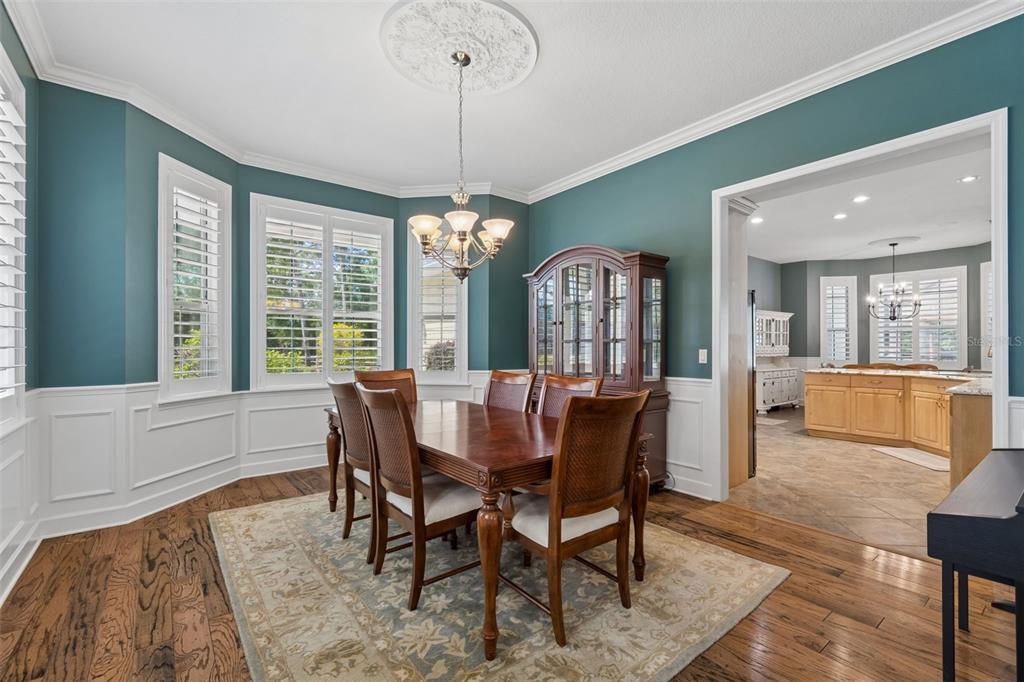 5438 Drexel Road Land O' Lakes, FL 34638 - Photo 9 of 72