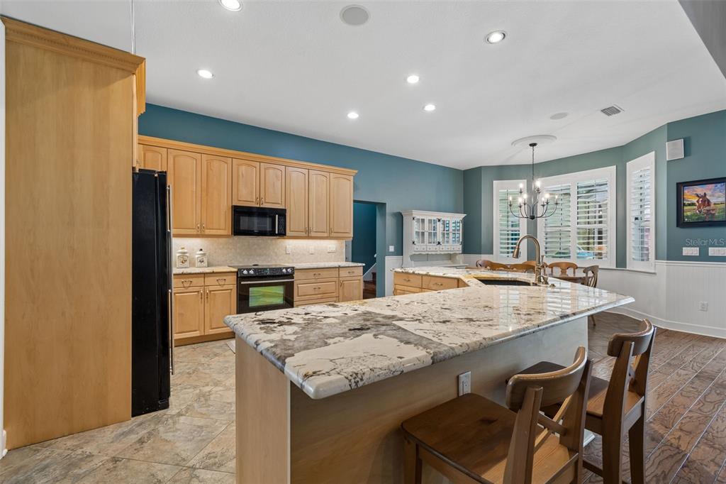 5438 Drexel Road Land O' Lakes, FL 34638 - Photo 10 of 72