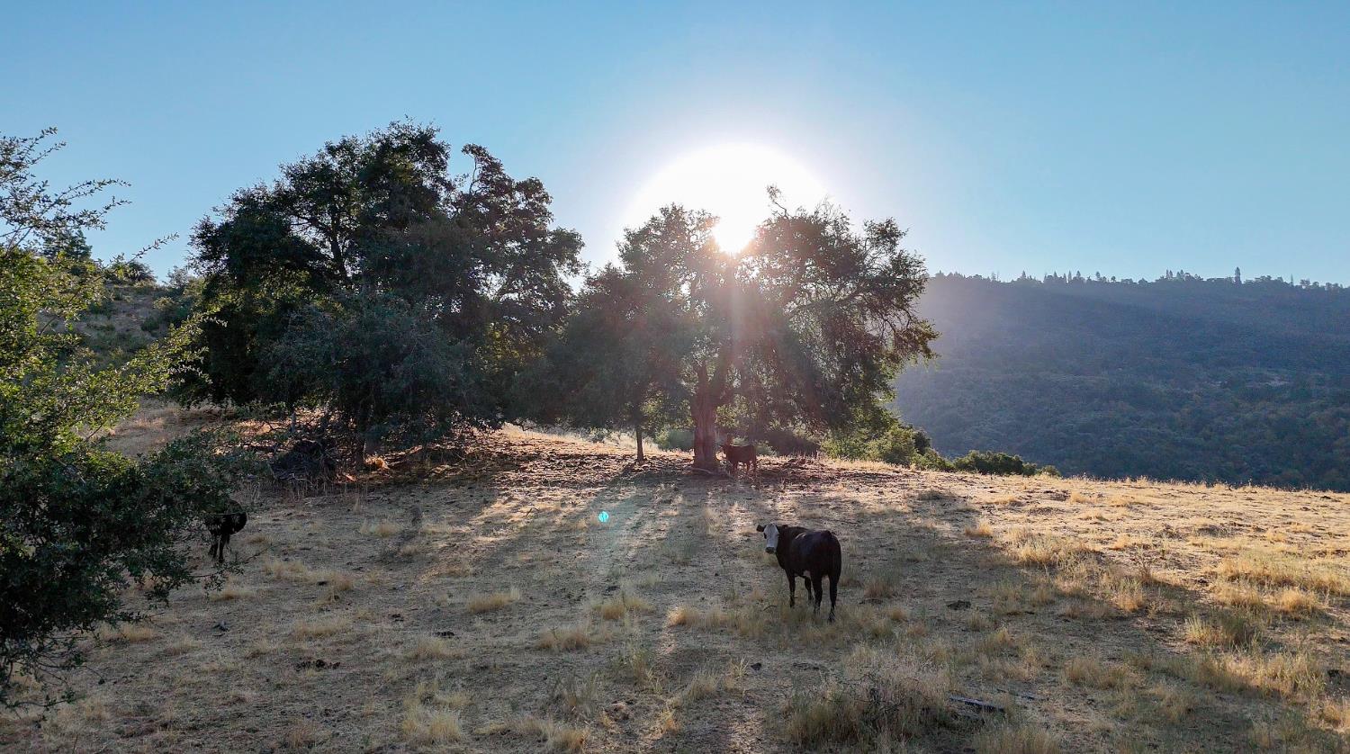 0 Whitaker Forest Road Miramonte, CA 93603 - Photo 13 of 78