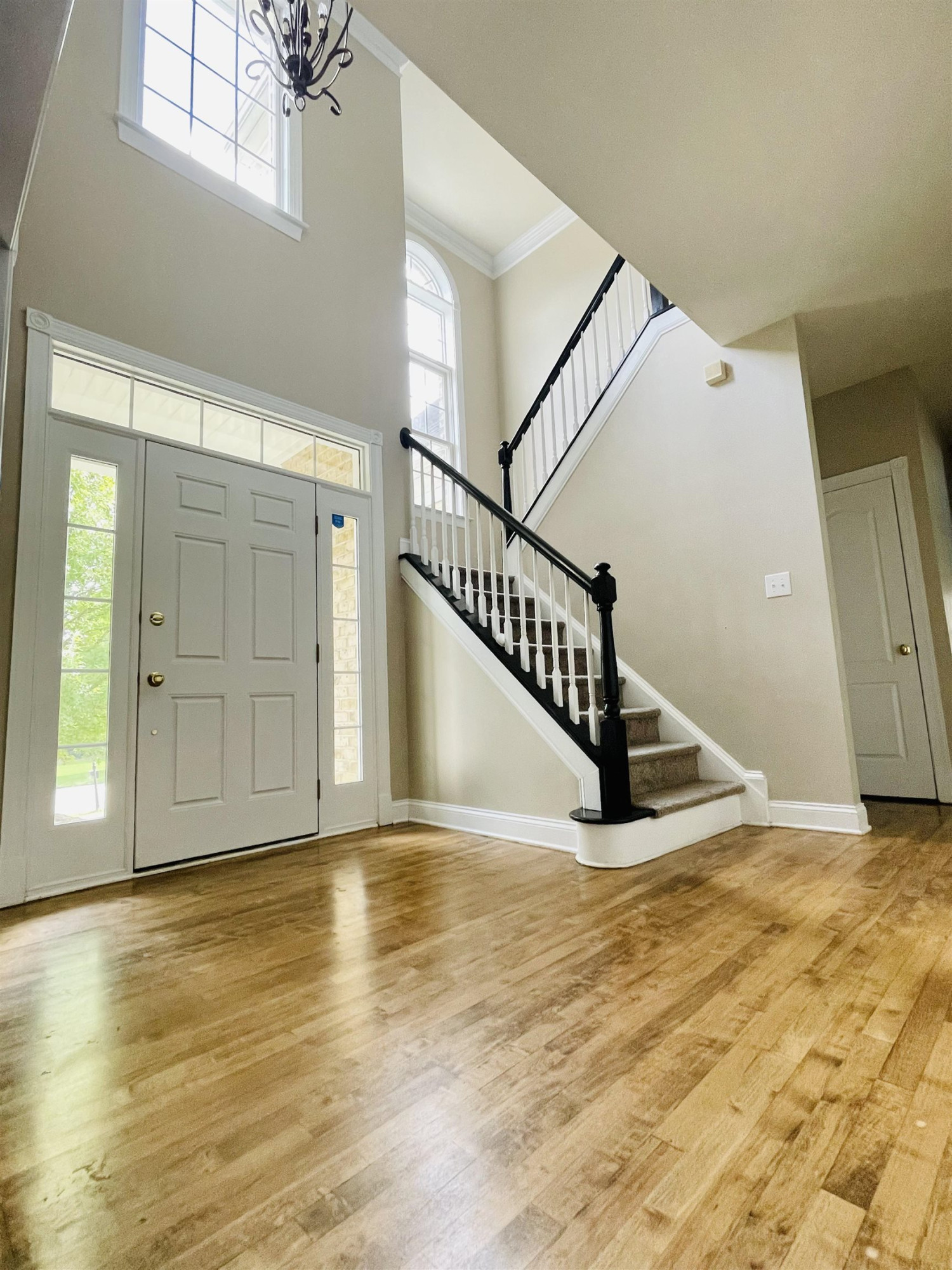9406 Foxgrove Court Raleigh, NC 27617 - Photo 5 of 15 Photo 5