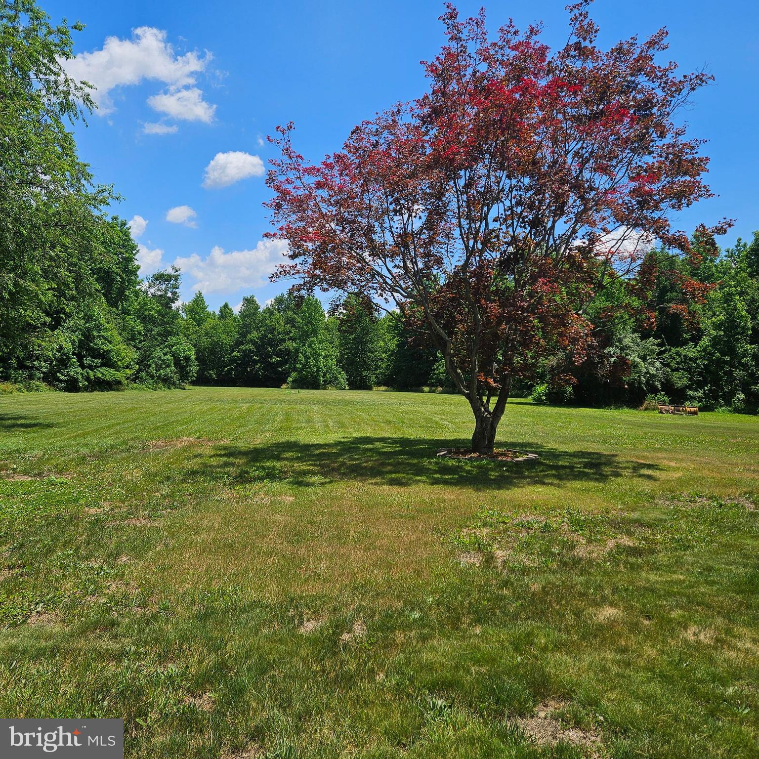 788 Holletts Corner Road Clayton, DE 19938 - Photo 20 of 20