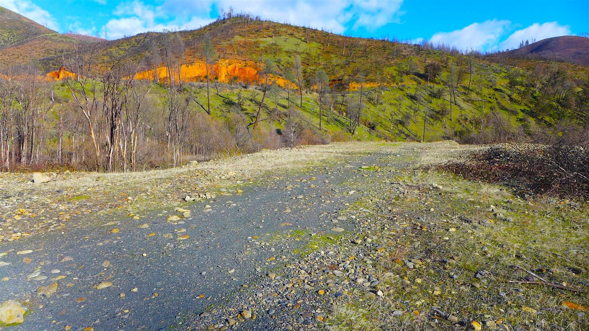 0 Trinity Mountain Road French Gulch, CA 96033 - Photo 11 of 29 a view of a yard with a large tree