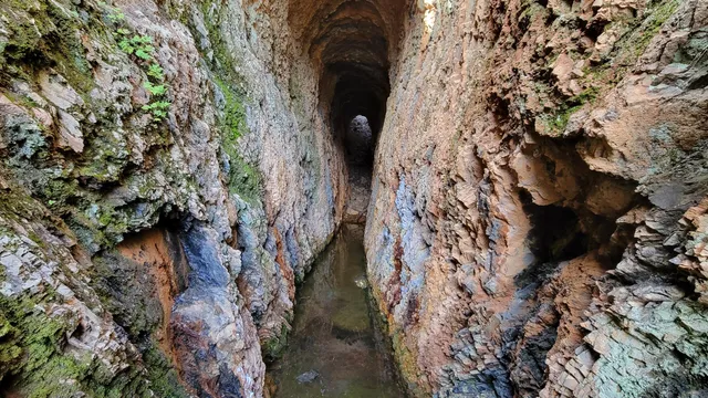 a close view of a statue