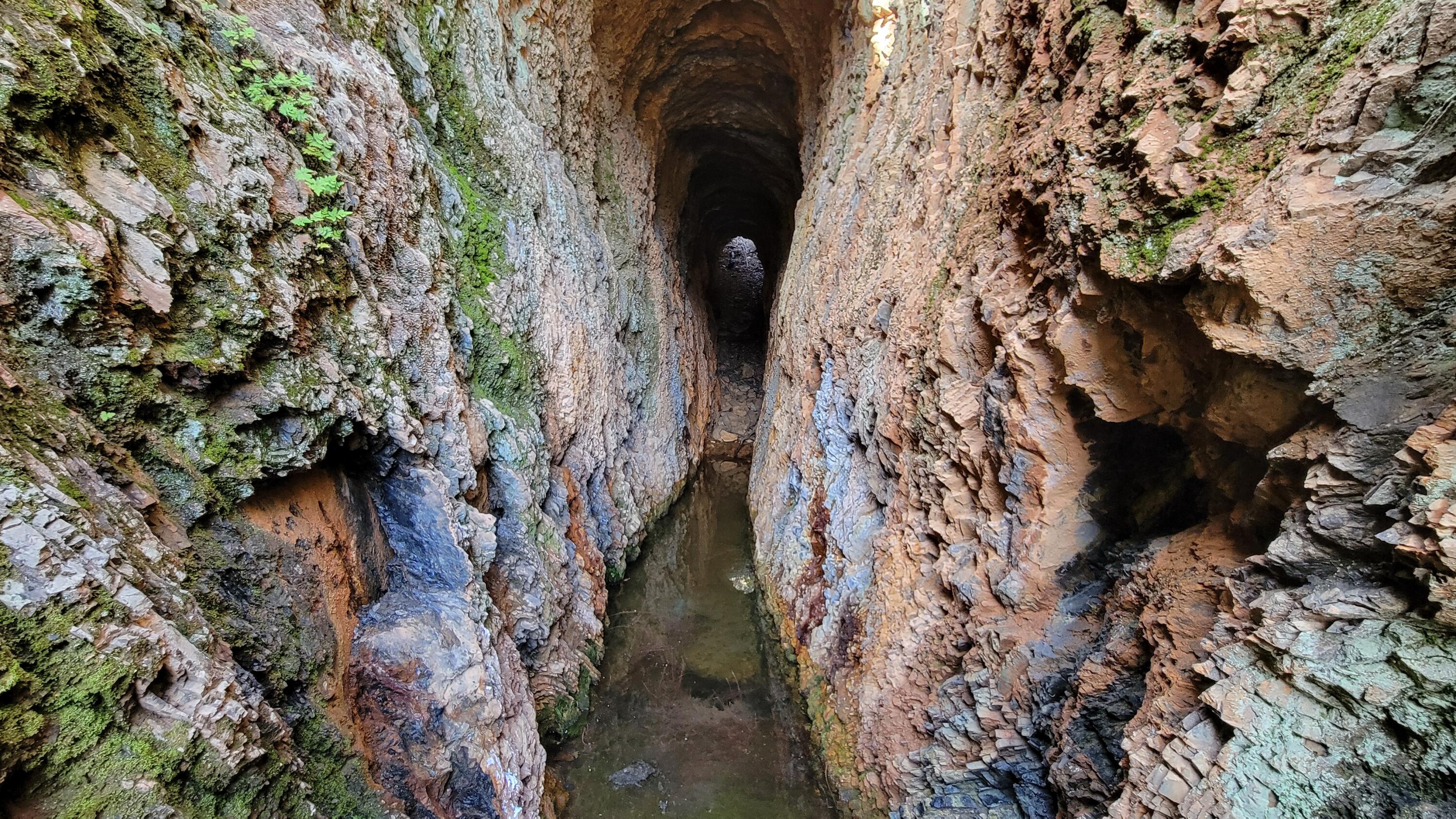 0 Trinity Mountain Road French Gulch, CA 96033 - Photo 13 of 29 a close view of a statue