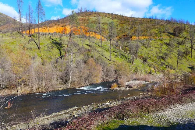 a view of a yard with a wooden fence
