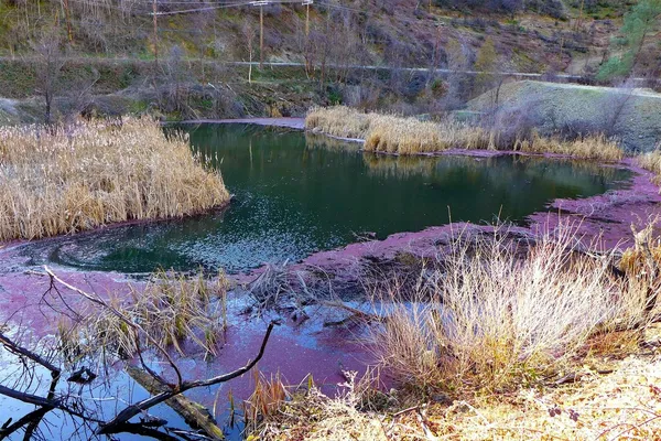 a view of a lake with a yard