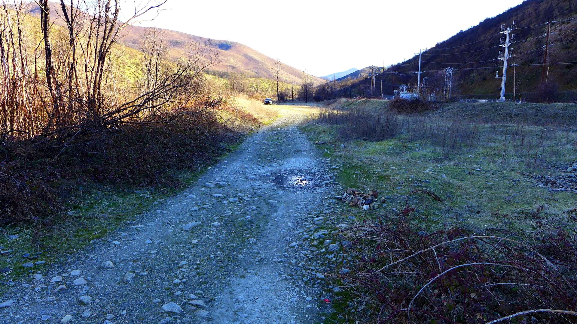 0 Trinity Mountain Road French Gulch, CA 96033 - Photo 18 of 29 a backyard of a house