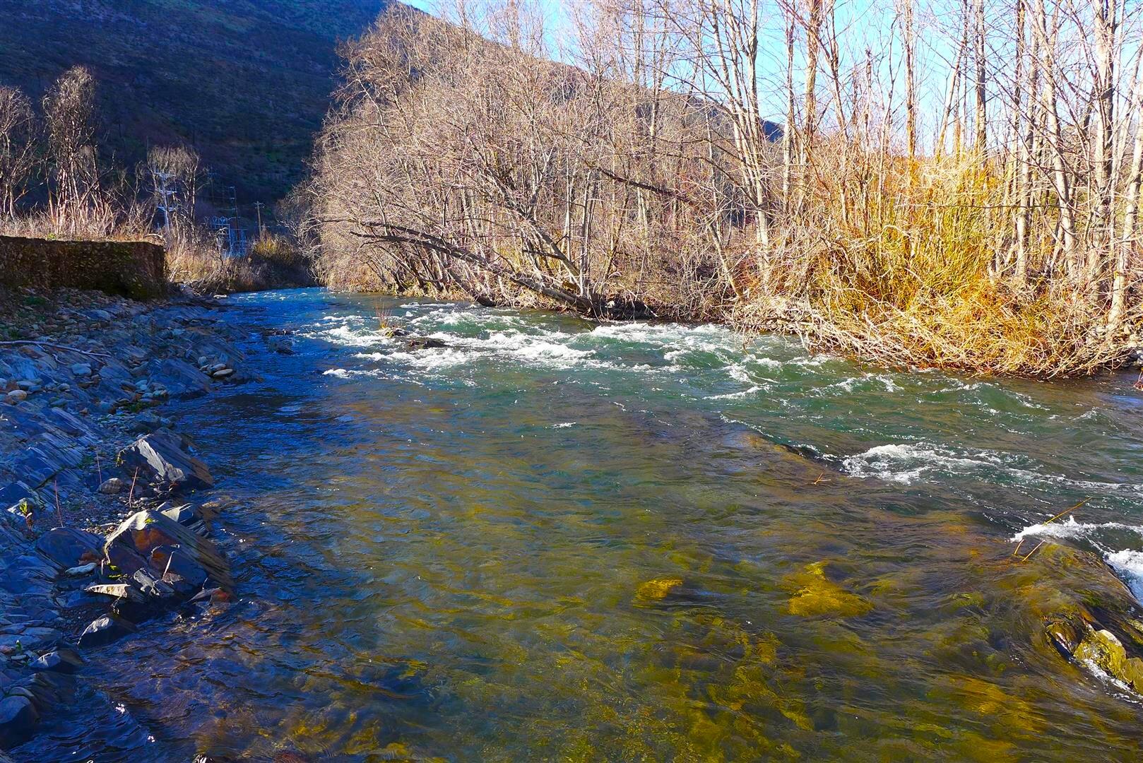 0 Trinity Mountain Road French Gulch, CA 96033 - Photo 19 of 29 a view of backyard with wooden fence