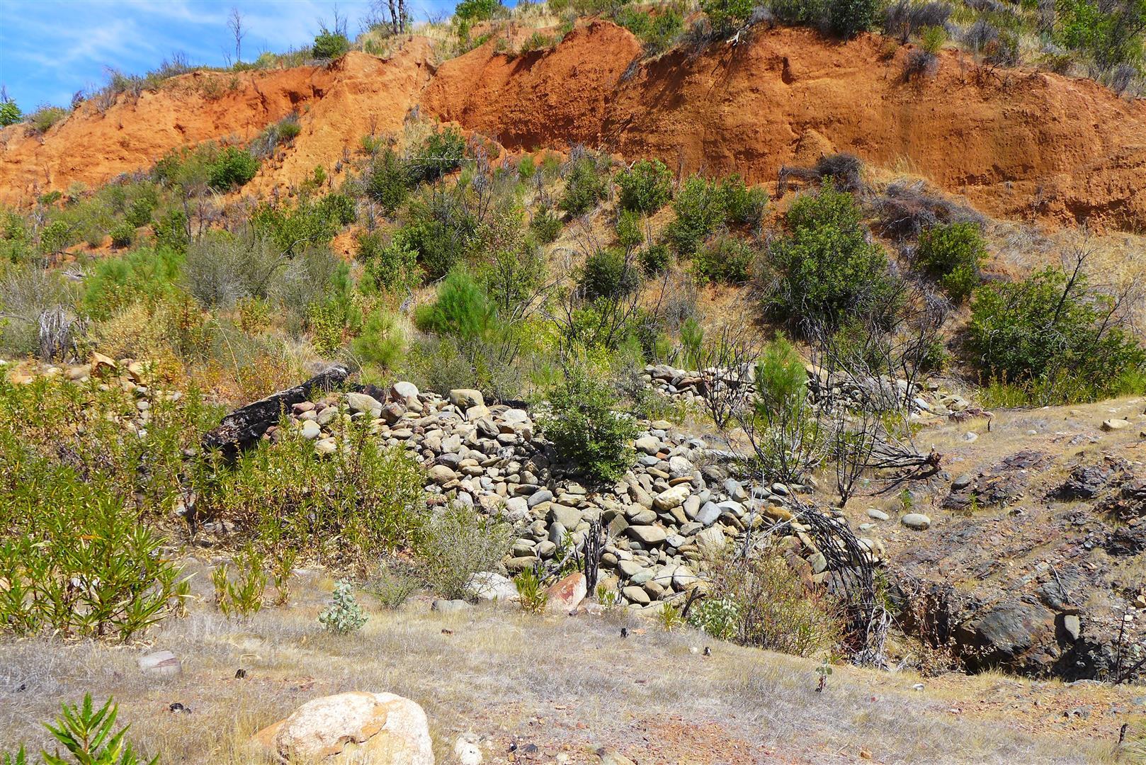 0 Trinity Mountain Road French Gulch, CA 96033 - Photo 26 of 29 a view of a backyard of the house