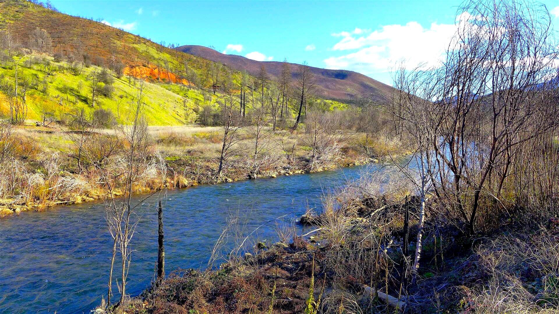 0 Trinity Mountain Road French Gulch, CA 96033 - Photo 4 of 29 a view of a backyard