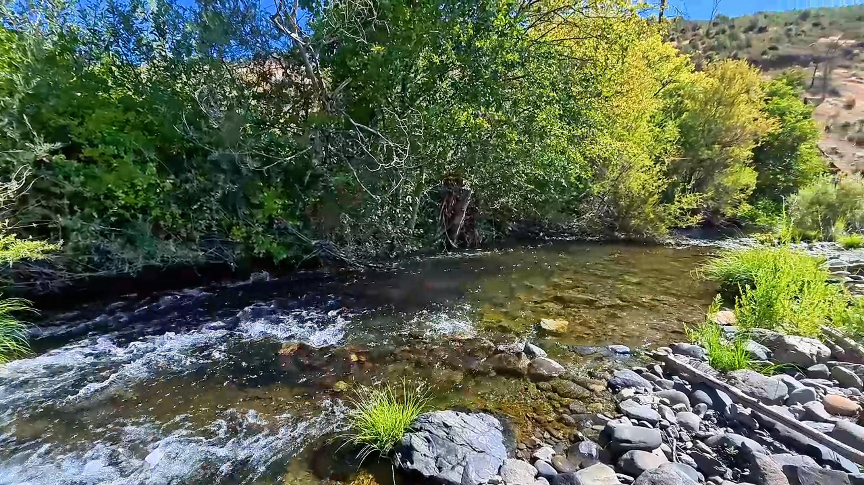 0 Trinity Mountain Road French Gulch, CA 96033 - Photo 8 of 29 a view of a lake with green field