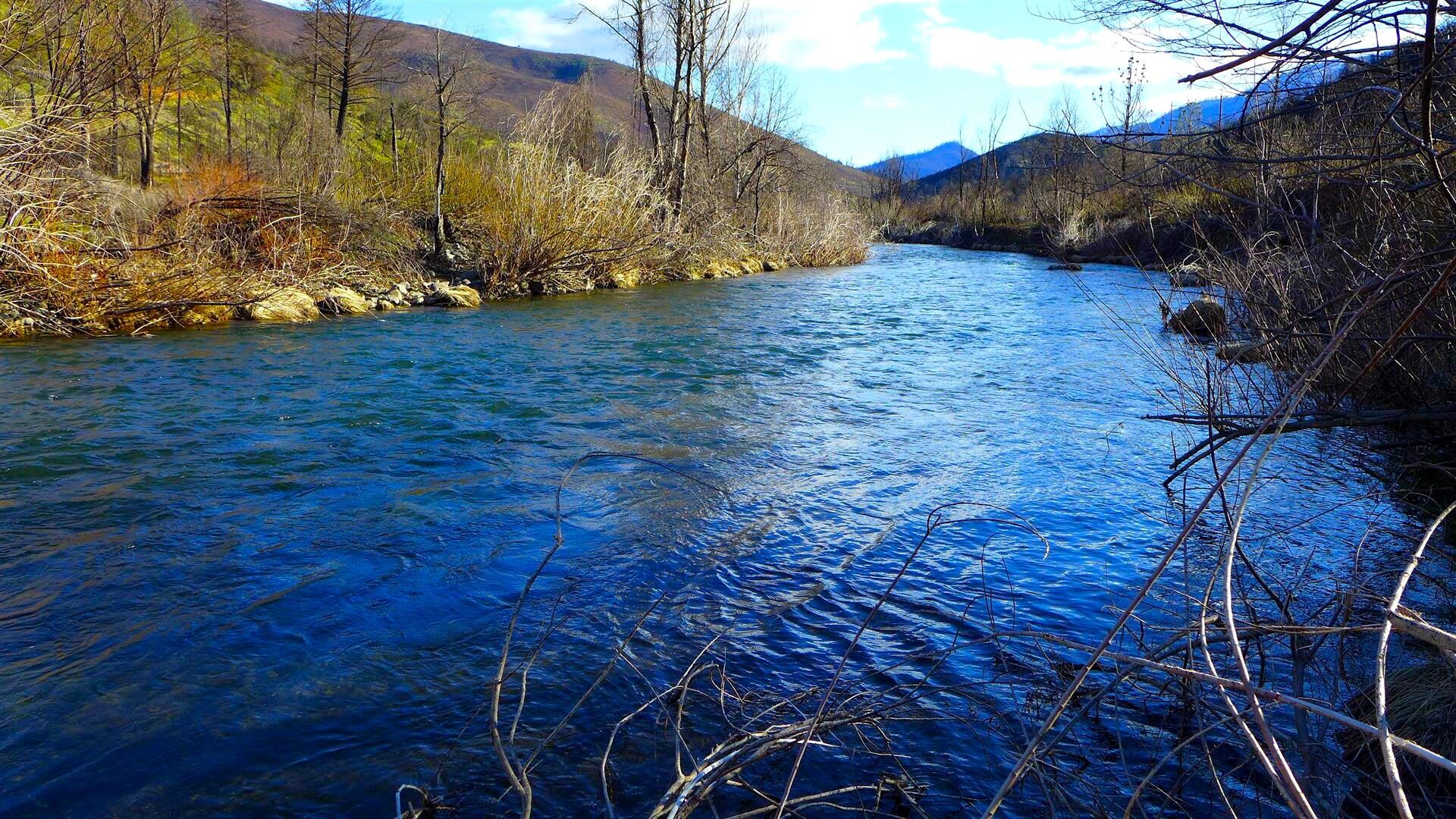 0 Trinity Mountain Road French Gulch, CA 96033 - Photo 10 of 29 a view of a backyard