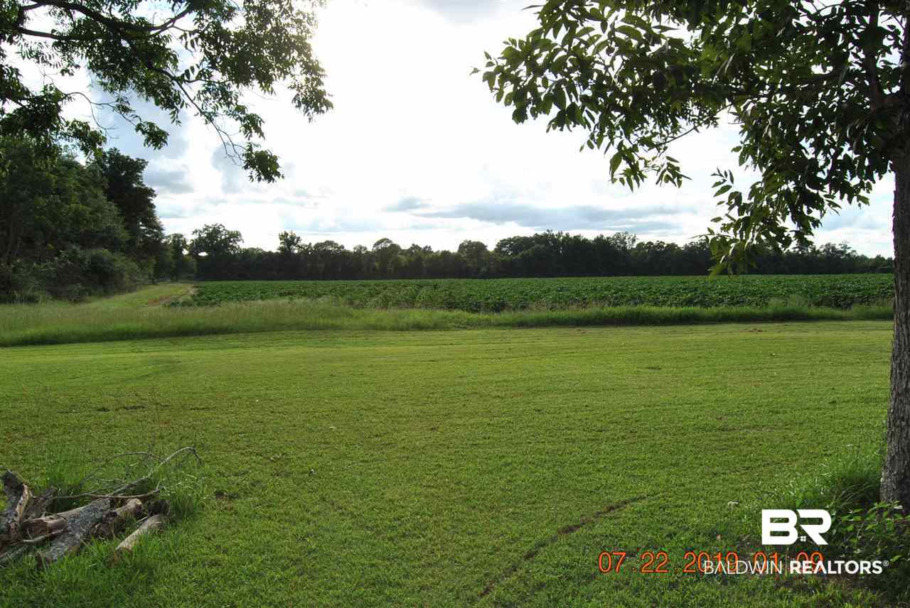 384 Goulsby Farm Road Brewton, AL 36426 - Photo 1 of 5 farm land