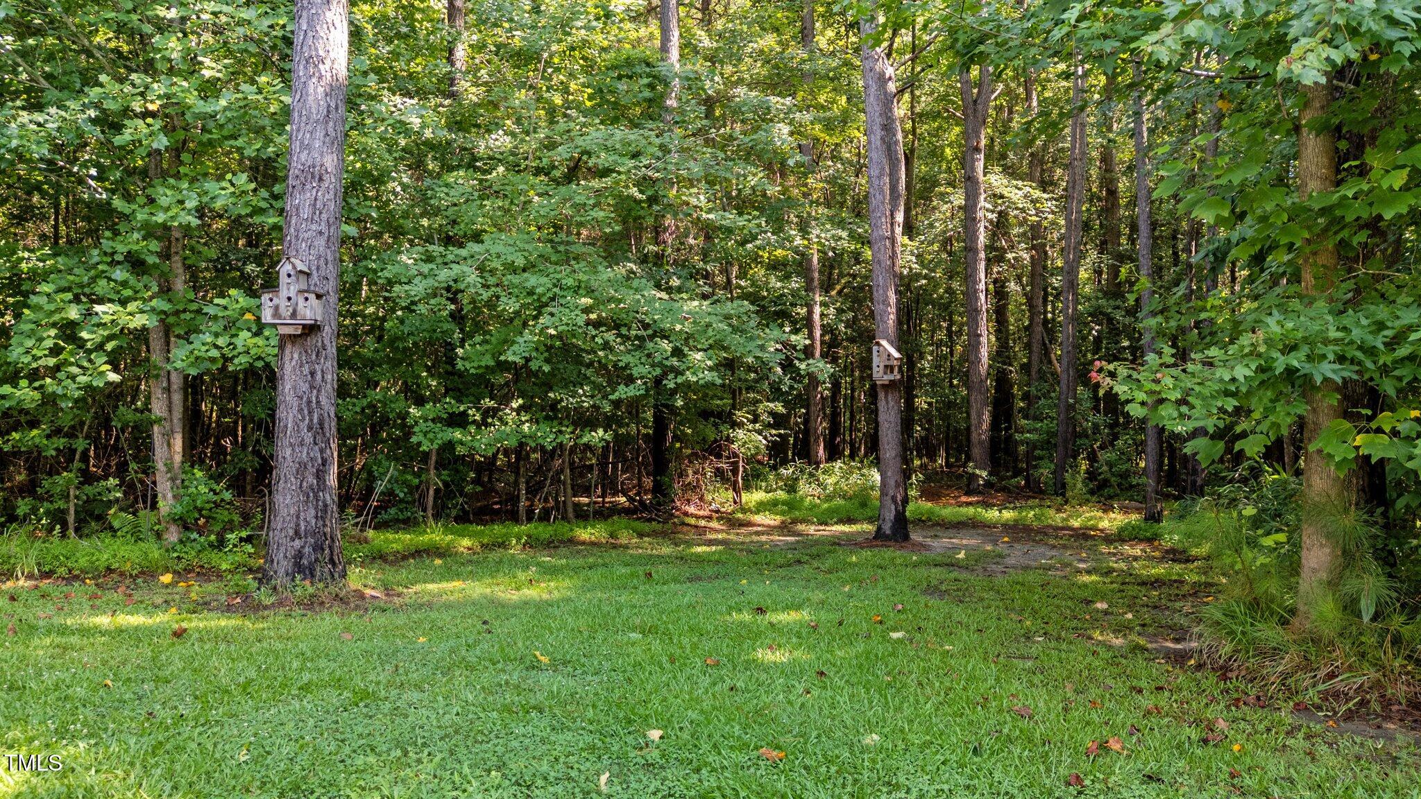 46 Trusting Lane Middlesex, NC 27557 - Photo 10 of 35 a view of park