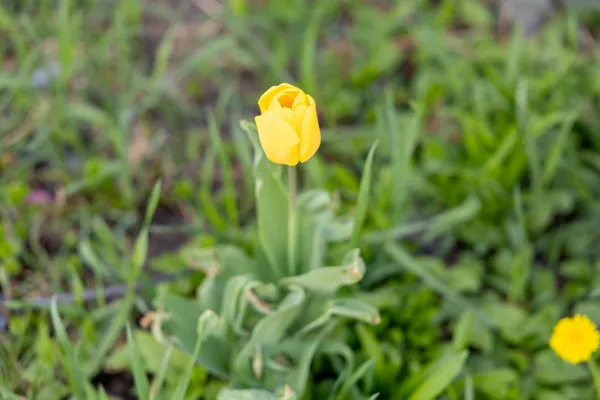 $625,000 | 3351 Glenbrook Drive, Hailey, ID 83333