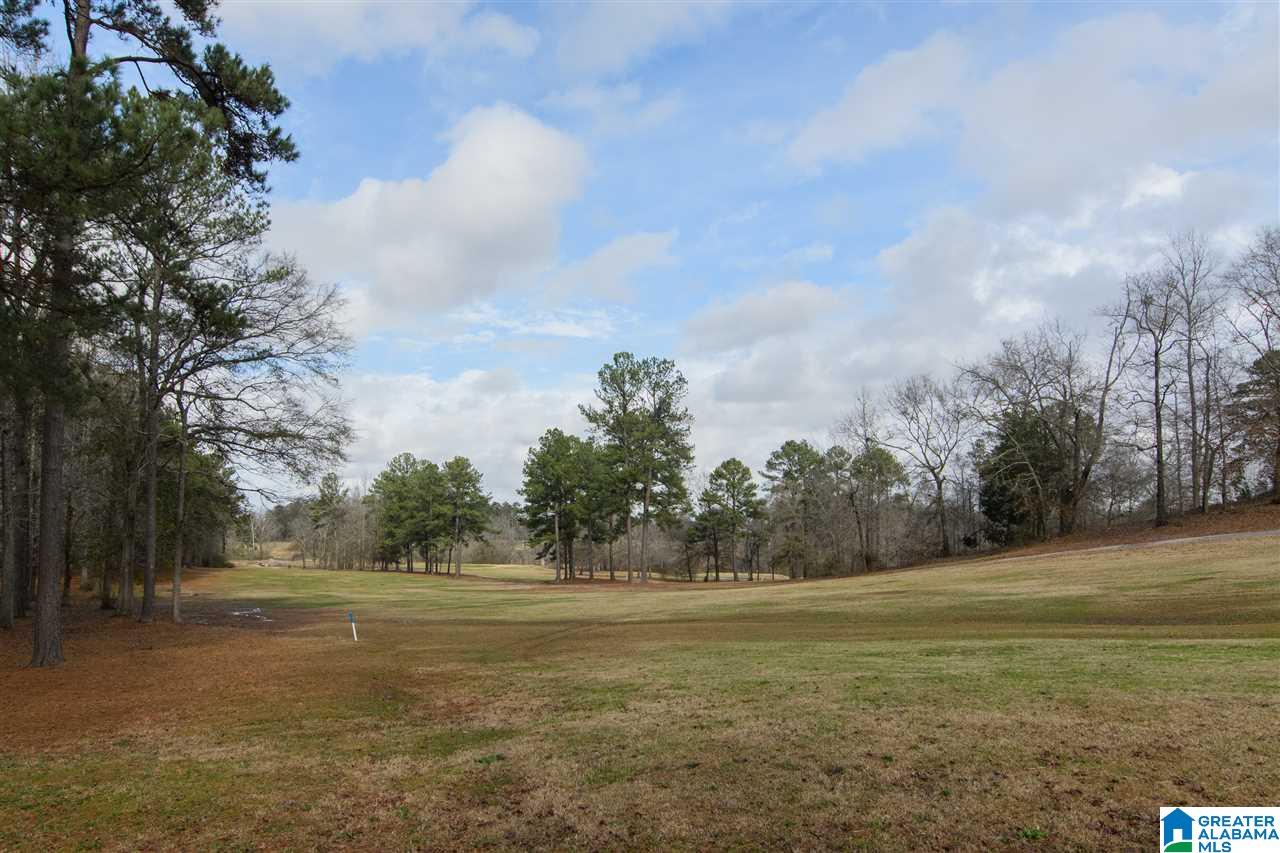116 Fairview Lane Montevallo, AL 35115 - Photo 47 of 47