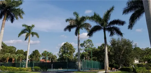 a view of outdoor space with palm trees
