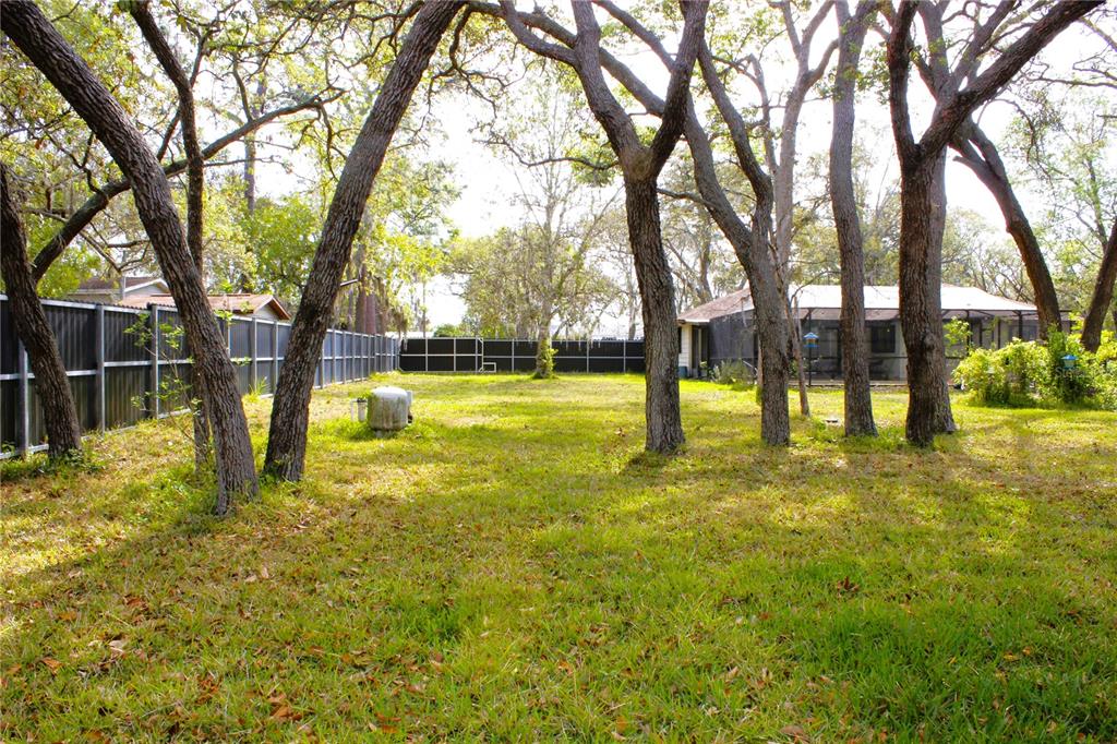 3201 Bartlett Street Spring Hill, FL 34606 - Photo 41 of 45 a view of a yard with a tree
