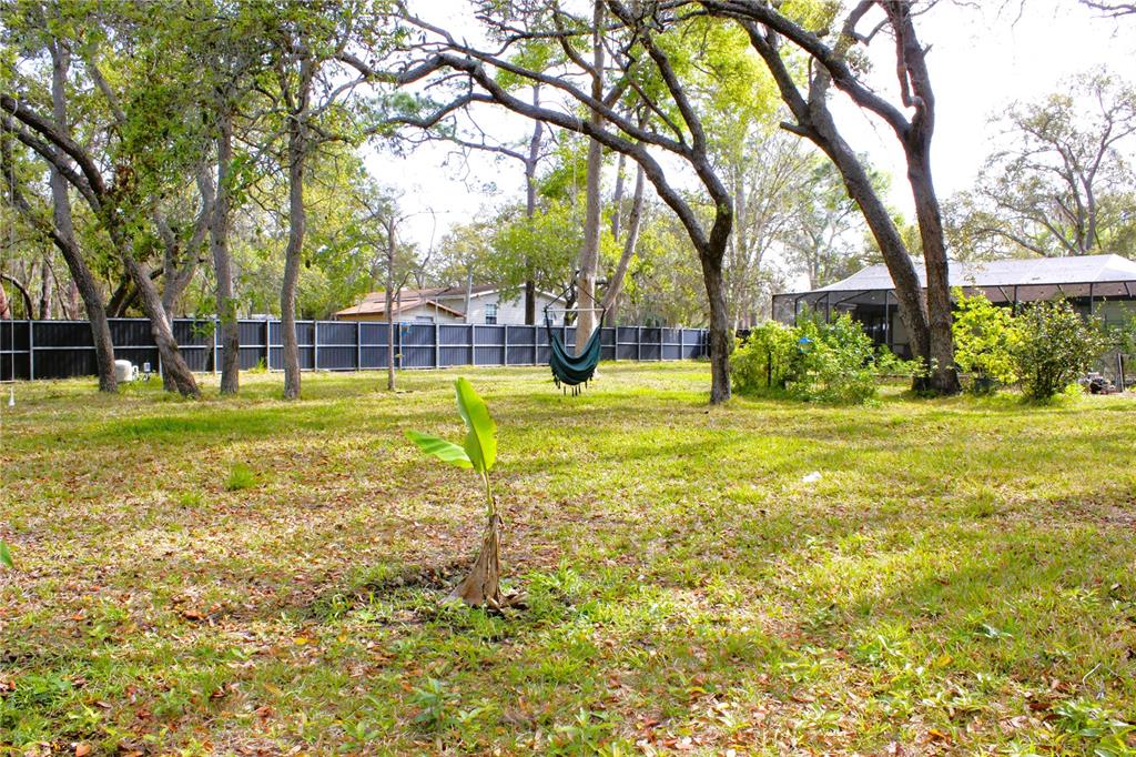 3201 Bartlett Street Spring Hill, FL 34606 - Photo 42 of 45 a view of a swimming pool with a big yard and large trees