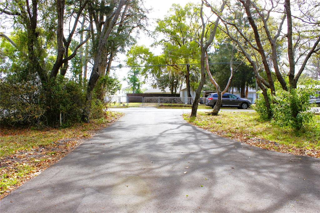 3201 Bartlett Street Spring Hill, FL 34606 - Photo 44 of 45 a view of a park with trees