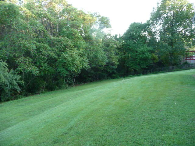 1144 Ridge Top Drive Chattanooga, TN 37421 - Photo 3 of 17 P1060071
