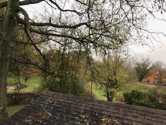 4800 Reeves Road Antioch, TN 37013 - Photo 21 of 21 Tons of views from this property.