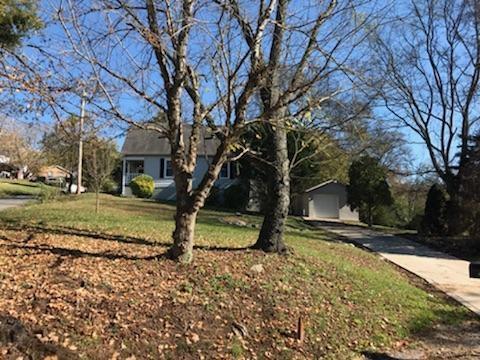 4800 Reeves Road Antioch, TN 37013 - Photo 3 of 21 Large semi private lot, long concrete driveway.