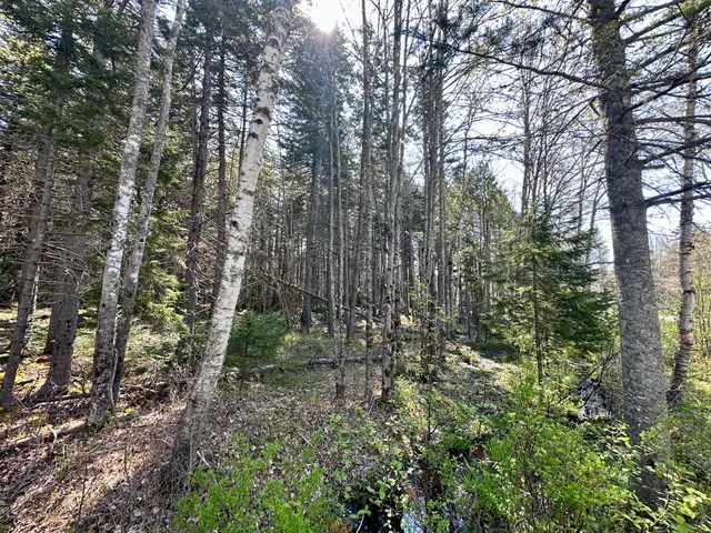 $149,500 | 40 Reach Road, Brooklin, ME 04616