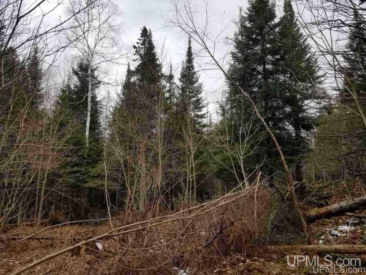 Tbd Stelzer Road Gulliver, MI 49840 - Photo 25 of 26