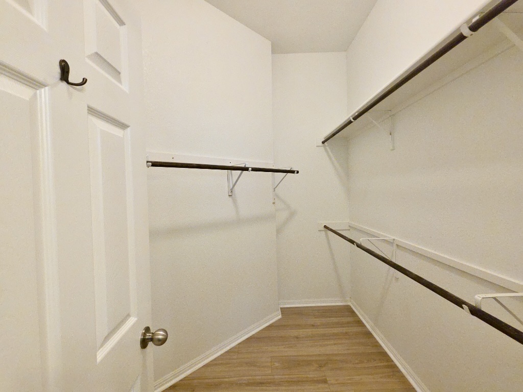 13208 Mariscan Street Manchaca, TX 78652 - Photo 13 of 31 Walk in closet with light wood-type flooring
