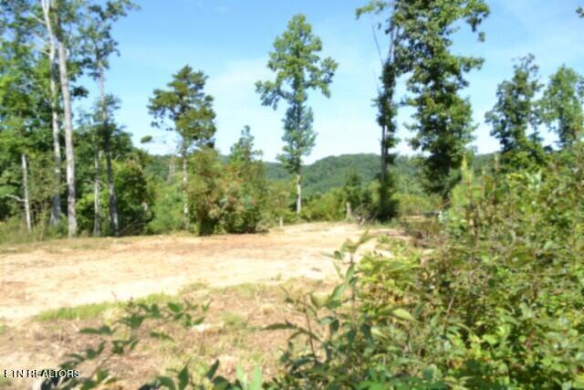 9.85-ac Rock Springs Road Celina, TN 38551 - Photo 7 of 48 DSC_0010