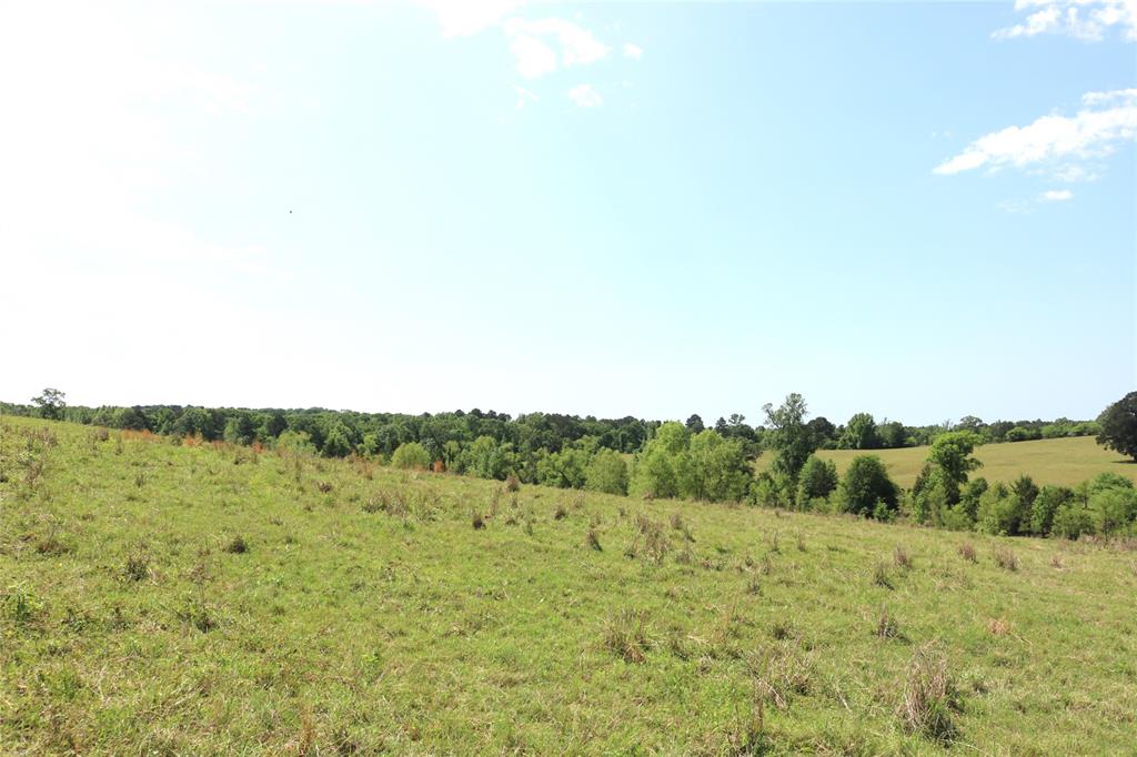 2 State Highway Ore City, TX 75683 - Photo 18 of 22 a view of a field with trees in the background
