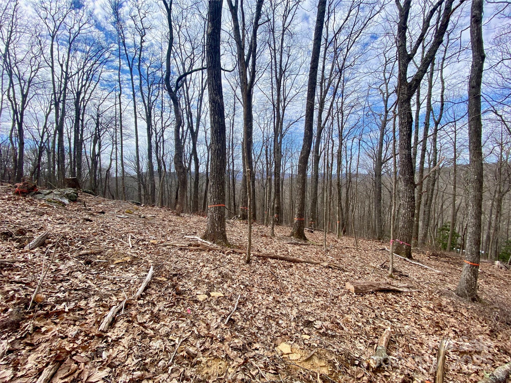 Tbd Old Chestnut Mountain Road Newland, NC 28657 - Photo 11 of 19 a backyard of a house with lots of green space