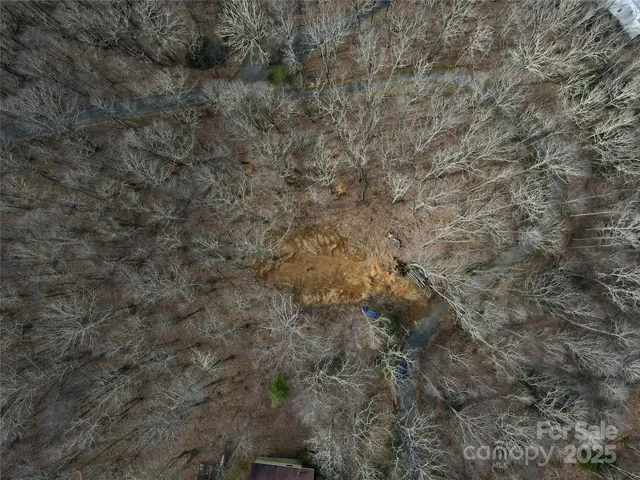 a view of a dry yard