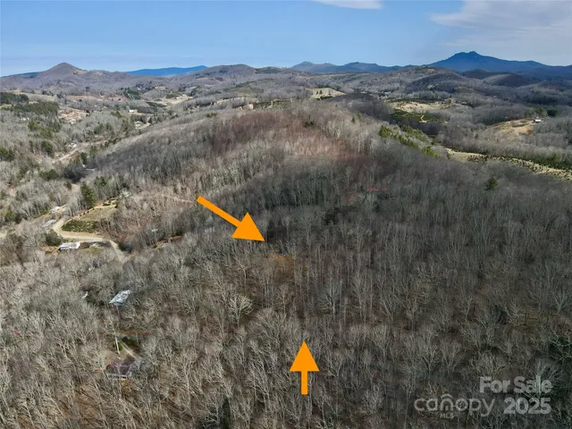 an aerial view of a house with a yard and a forest