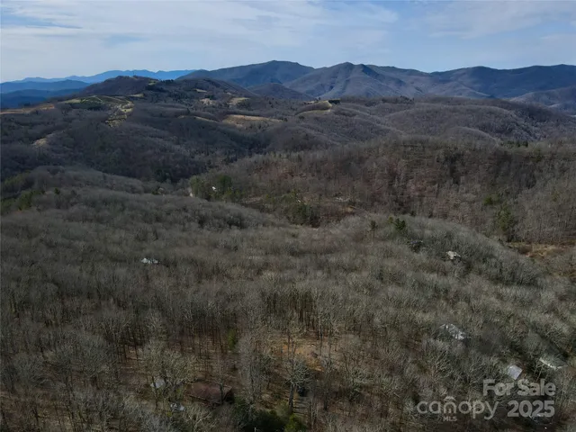 a view of a mountain in the distance
