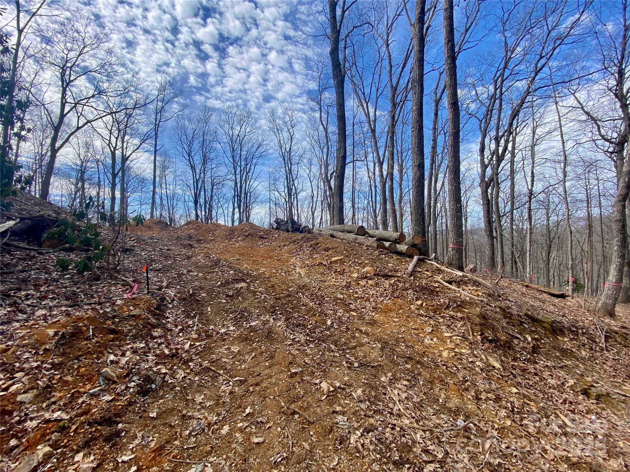 Tbd Old Chestnut Mountain Road Newland, NC 28657 - Photo 2 of 19 a view of a yard with large trees