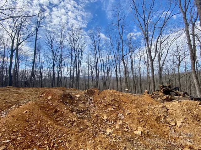 a backyard of a house with large trees