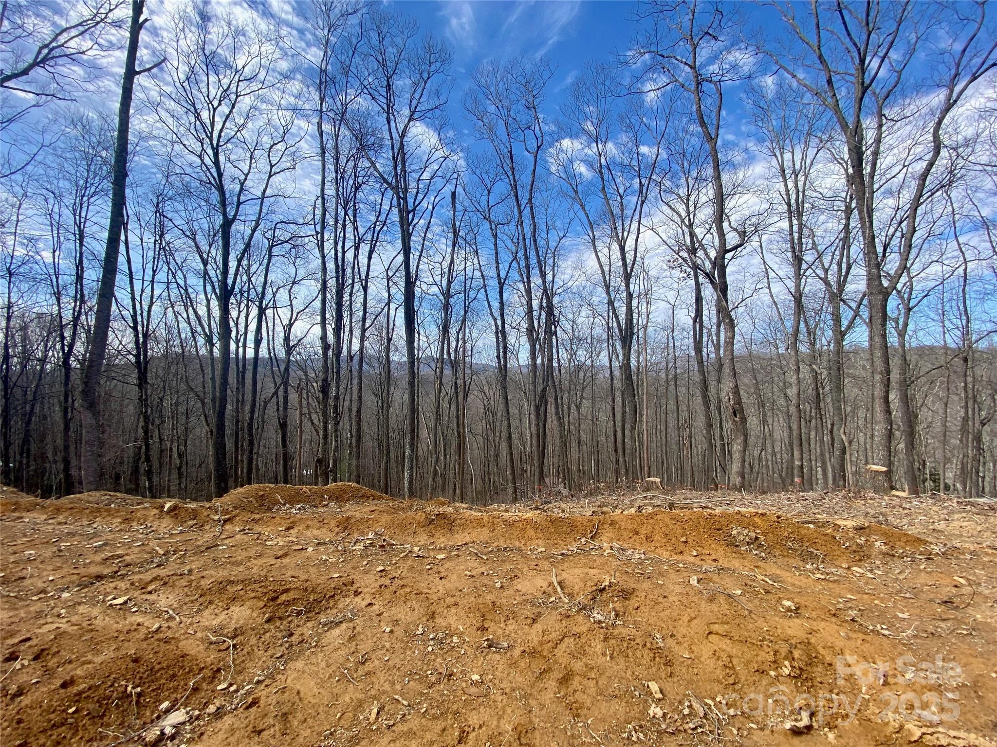 Tbd Old Chestnut Mountain Road Newland, NC 28657 - Photo 6 of 19 a view of a backyard with large trees