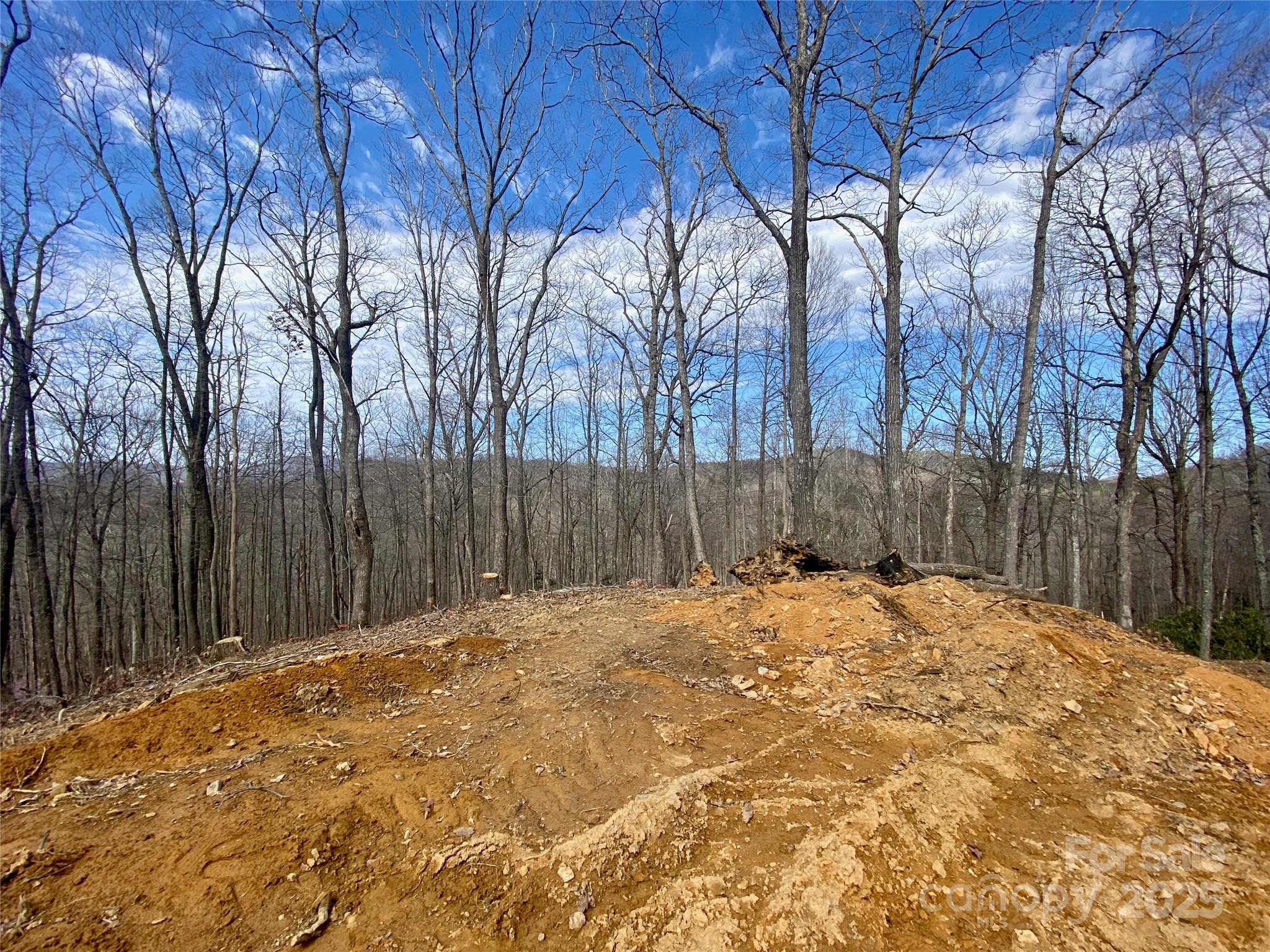 Tbd Old Chestnut Mountain Road Newland, NC 28657 - Photo 7 of 19 a white house covered with snow in the background