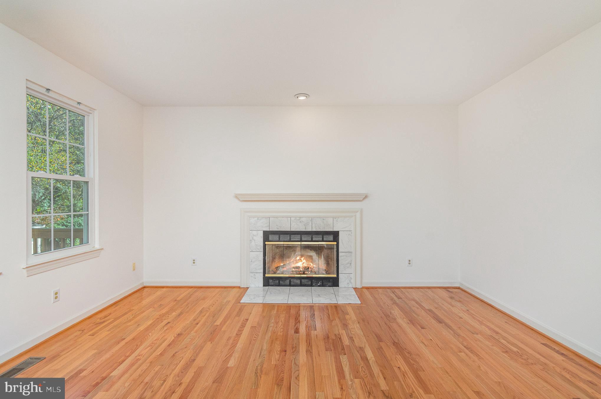 16033 Kings Mountain Road Woodbridge, VA 22191 - Photo 21 of 46 Wood burning Fireplace in the Family room