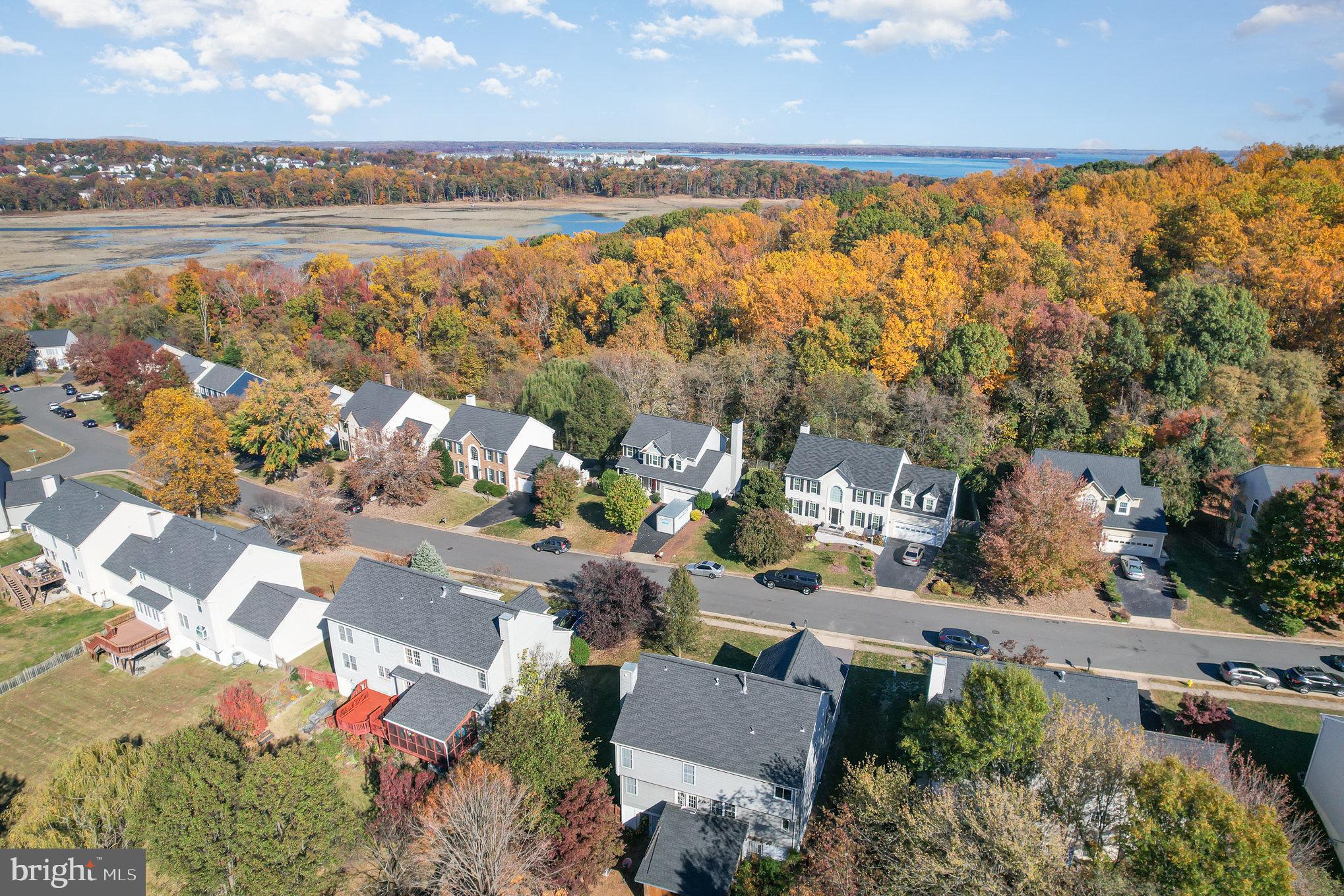 16033 Kings Mountain Road Woodbridge, VA 22191 - Photo 41 of 46 Area from the sky
