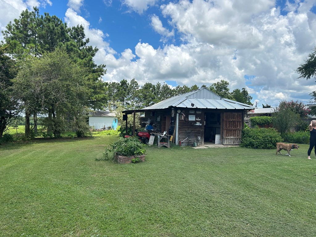 1570 McDaniel Road Ashford, AL 36312 - Photo 14 of 17