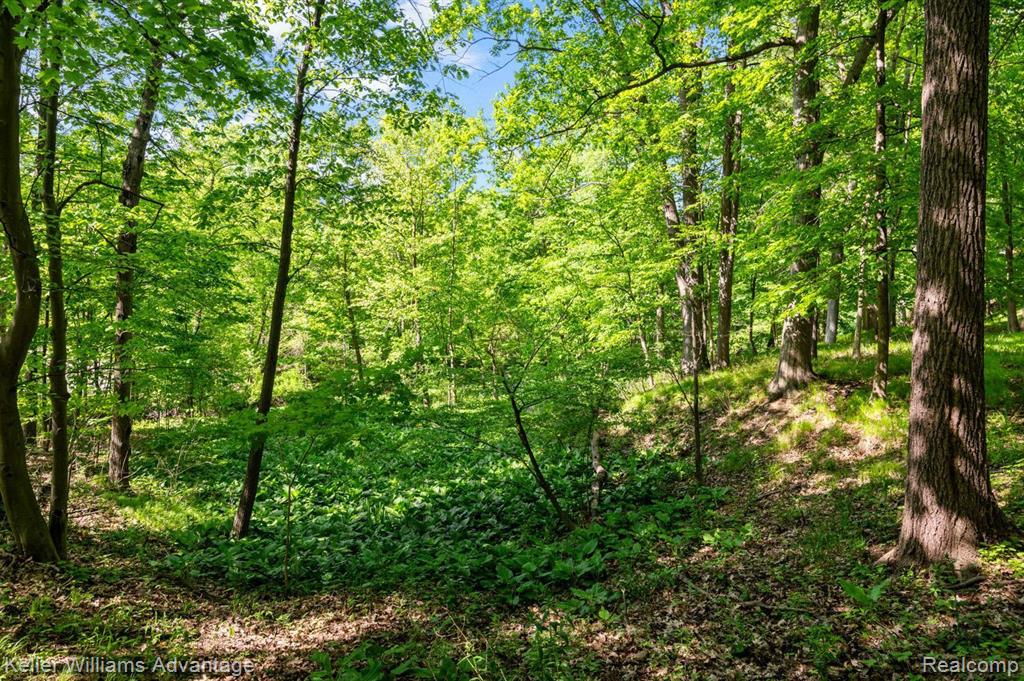 33770 Quaker Valley Road Farmington Hills, MI 48331 - Photo 30 of 31