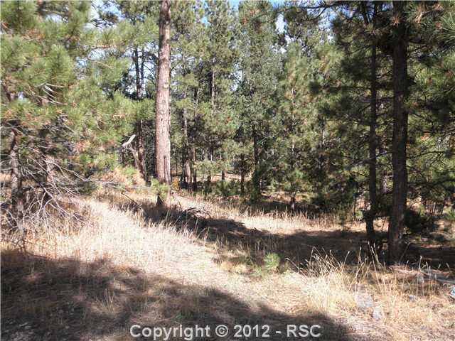 6460 Shoup Road Colorado Springs, CO 80908 - Photo 9 of 12 land