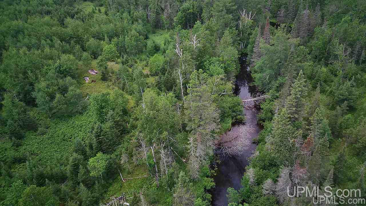 Tbd Off Nowack Road, Unit 1 Powers, MI 49874 - Photo 13 of 32