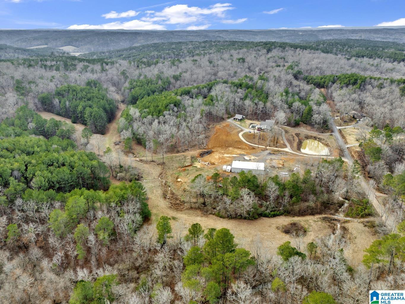 1705 Hagood Mountain Road Morris, AL 35116 - Photo 62 of 84 Gallery Image 62