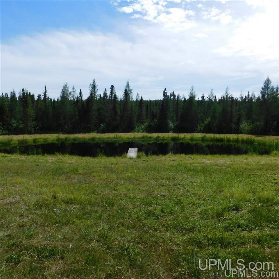 Tbd Lantz Road Ralph, MI 49877 - Photo 40 of 47