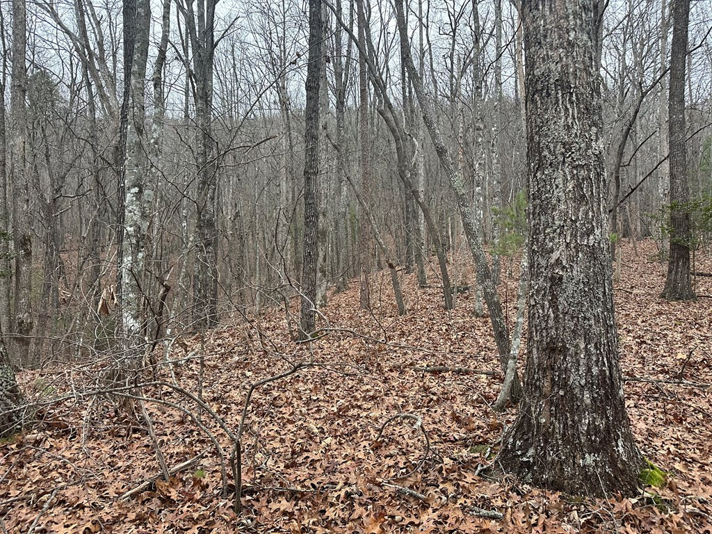 0 Marrestop Road Murphy, NC 28906 - Photo 6 of 14